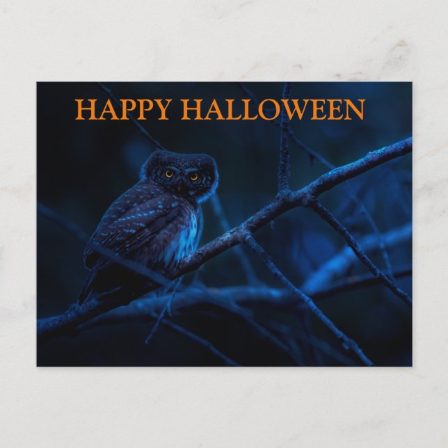 Scary Halloween Natt med Uggla vykort (Framsida)