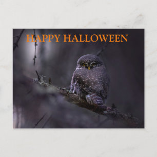 Scary Halloween Natt med Uggla Vykort