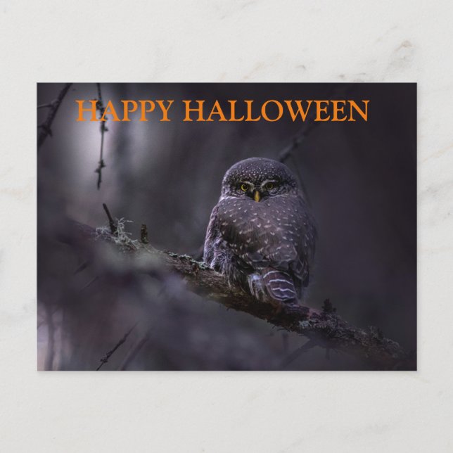 Scary Halloween Natt med Uggla Vykort (Framsida)