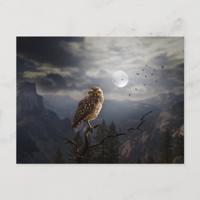 Scary Halloween Natt Vykort (Framsida)