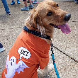 Scary Halloween-spöke - DEI - orange T Shirt