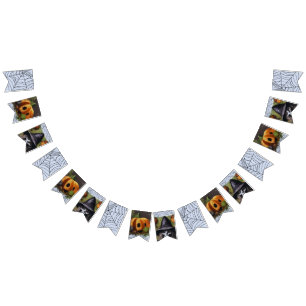 Scary Skeleton Witch for a Creepy Halloween fest Vimplar