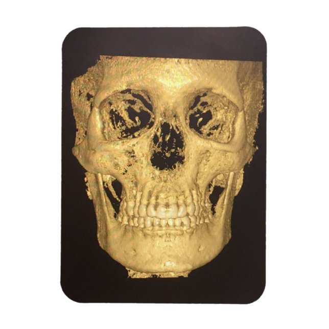 Scary Skull Magnet (Vertikal)