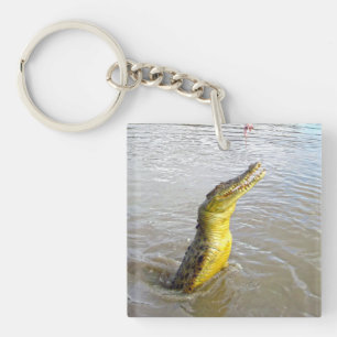 Scary Snappers: krokodilläskan,