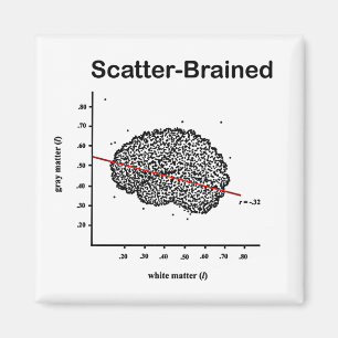 Scatter-Braed Magnet