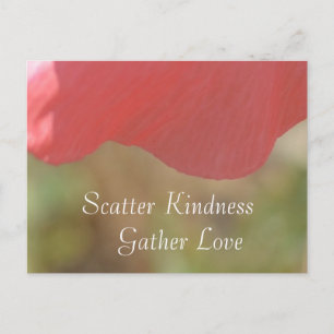 Scatter Kindness Rosa Poppy Flower Postcard Vykort