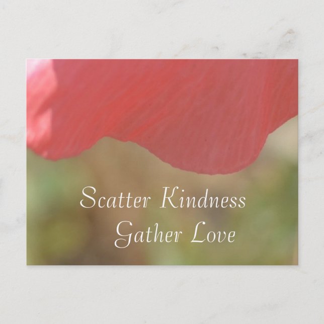 Scatter Kindness Rosa Poppy Flower Postcard Vykort (Framsida)