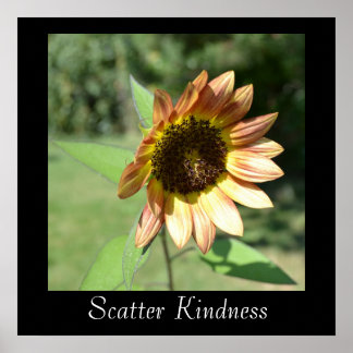 Scatter Kindness Solros Poster