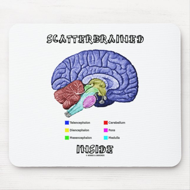 Scatterbraed Inside (Brain Anatomy Humor) Musmatta (Framsidan)
