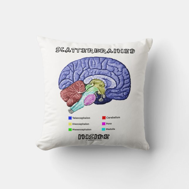 Scatterbraed Inside Brain Geek Humor Kudde (Framsida)