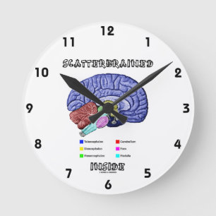 Scatterbraed Inside (Brain Humor) Rund Klocka