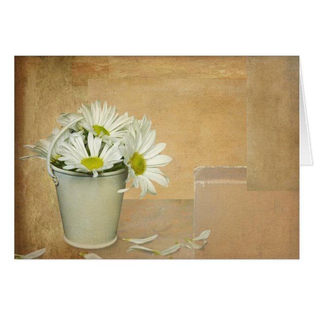 Scattered Petals OBS Kort (Framsidan Horizontal)