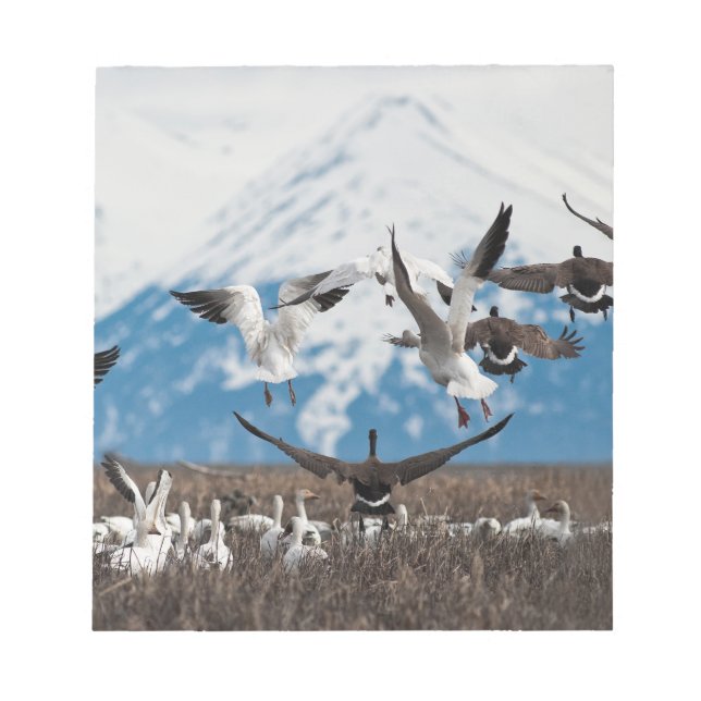 Scattering Geese Anteckningsblock (Framsida)