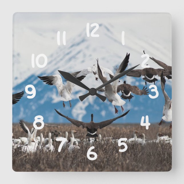 Scattering Geese Fyrkantig Klocka (Framsida)