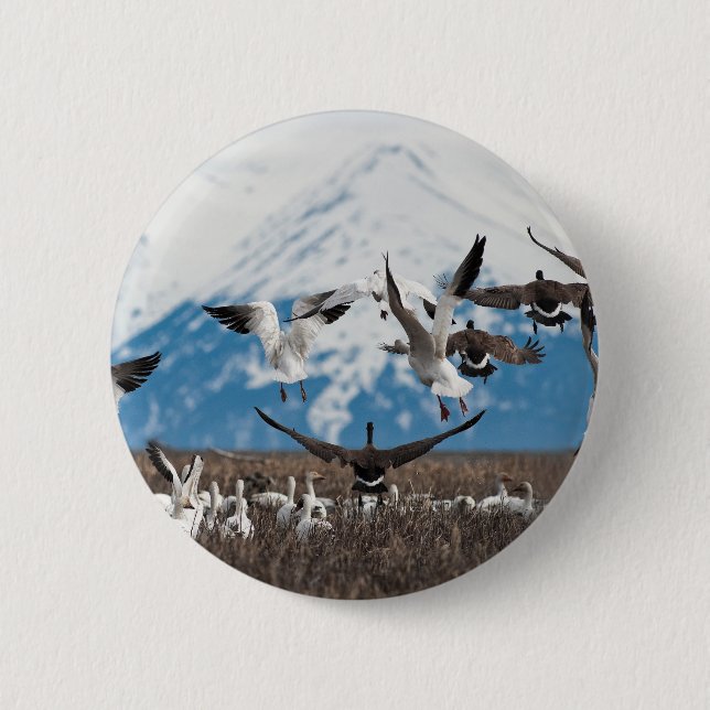 Scattering Geese Knapp (Framsida)