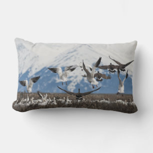 Scattering Geese Lumbarkudde