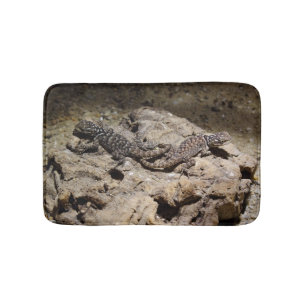 Sceloporus cyanogenys badrumsmatta