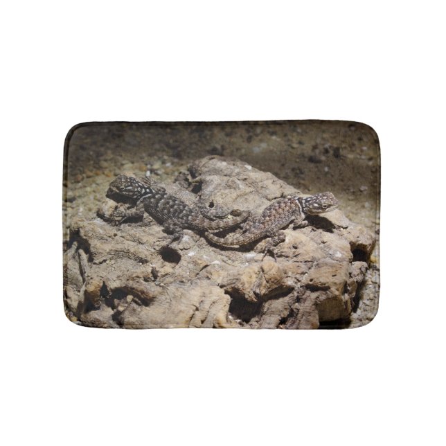 Sceloporus cyanogenys badrumsmatta (Framsidan)