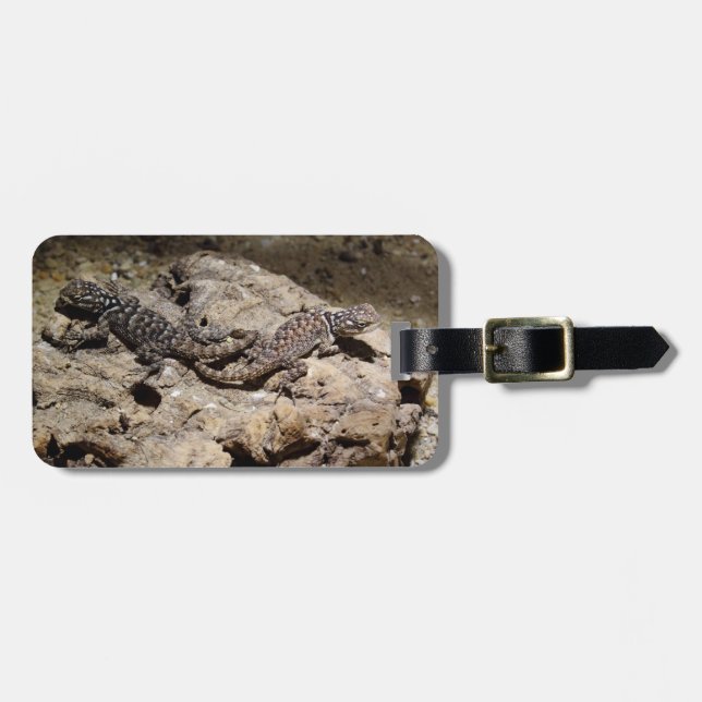 Sceloporus cyanogenys bagagebricka (Horisontell Framsida)