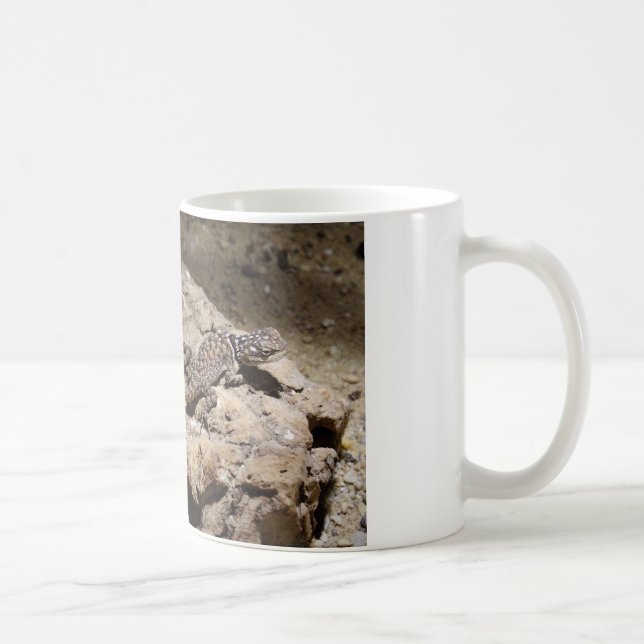 Sceloporus cyanogenys kaffemugg (Höger)