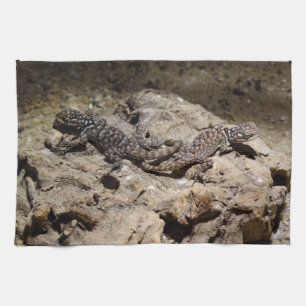Sceloporus cyanogenys kökshandduk