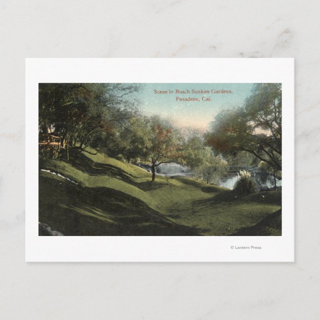 Scen i Busch Sunken Gardens Vykort (Framsida)