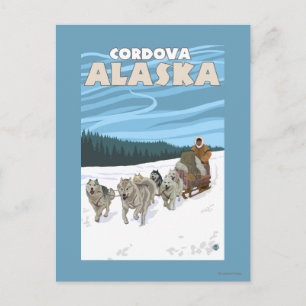 Scen med hundslädeåkning - Cordova, Alaska Vykort