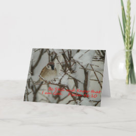 Scen och skript i snö kort