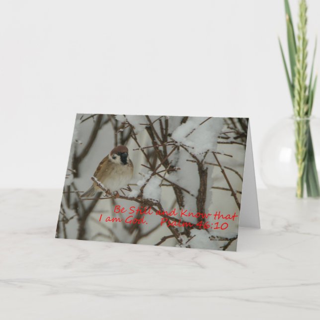 Scen och skript i snö kort (Framsida)