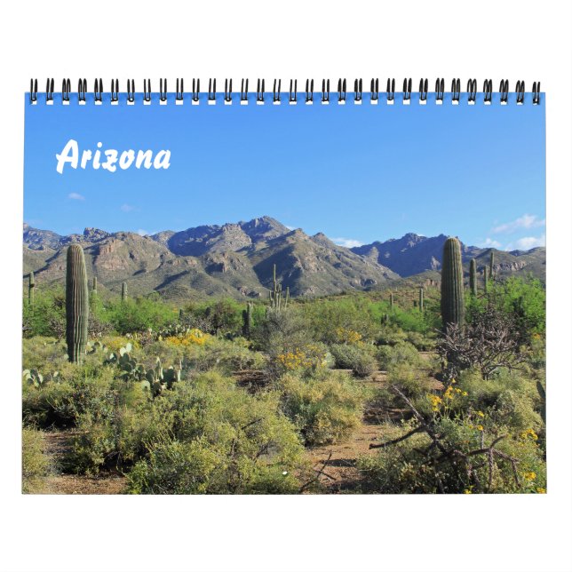 Scenära Bilder i Arizona Calendar Kalender (Omslag)