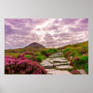 Scenariskt Irland poster