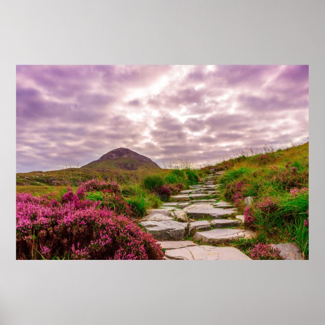 Scenariskt Irland poster (Framsidan)