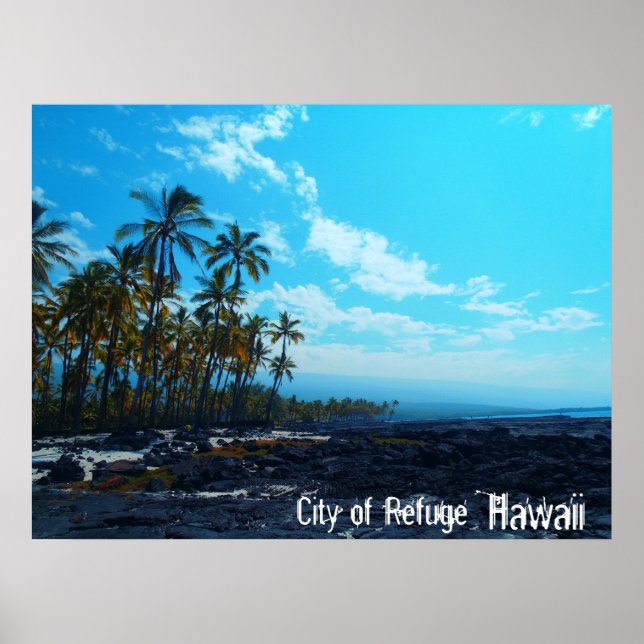 Scenariskt poster i Refuge Big Island Hawaii (Framsidan)