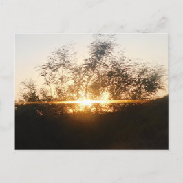 scendesign för solnedgång efter kort