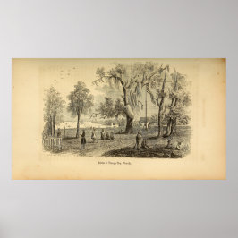 Scene i Tampa Bay Poster