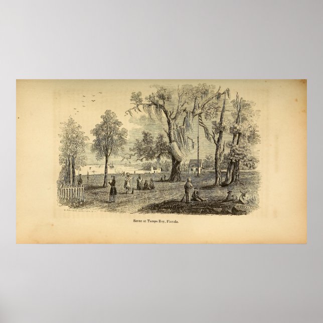 Scene i Tampa Bay Poster (Framsidan)