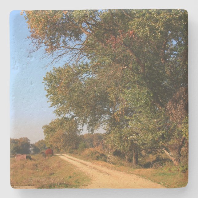 Scenen i norra Grekland Sq Underlägg (Framsidan)