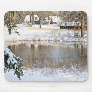 Scenen Snö på landsbygden Musmatta