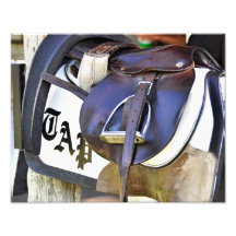 Scener från Saratoga