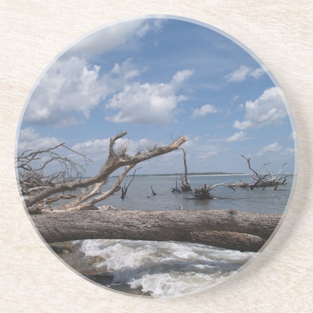 Scener Series—Driftwood Underlägg (Framsidan)