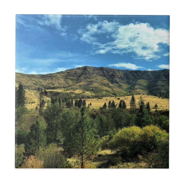 Scenery by Snake River, Oregon Kakelplatta (Framsidan)