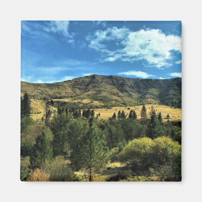 Scenery by Snake River, Oregon Magnet (Framsidan)