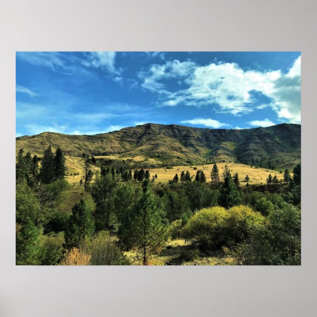 Scenery by Snake River, Oregon Poster (Framsidan)