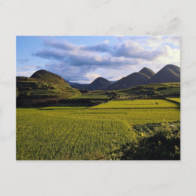 Scenery mellan Kaili och Qinghai, Guzjou-provinsen Vykort (Framsida)