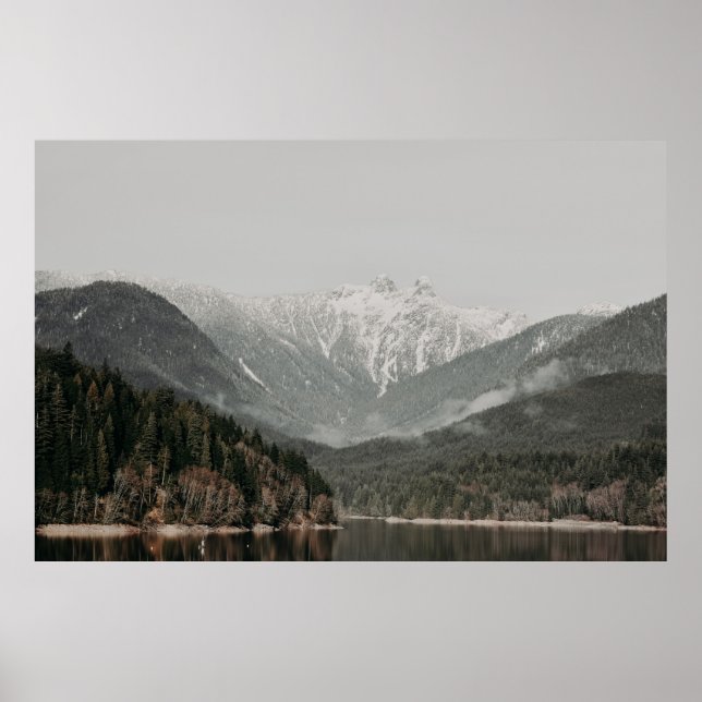SCENERY OF TRÄD AND MOUNTAIN POSTER (Framsidan)