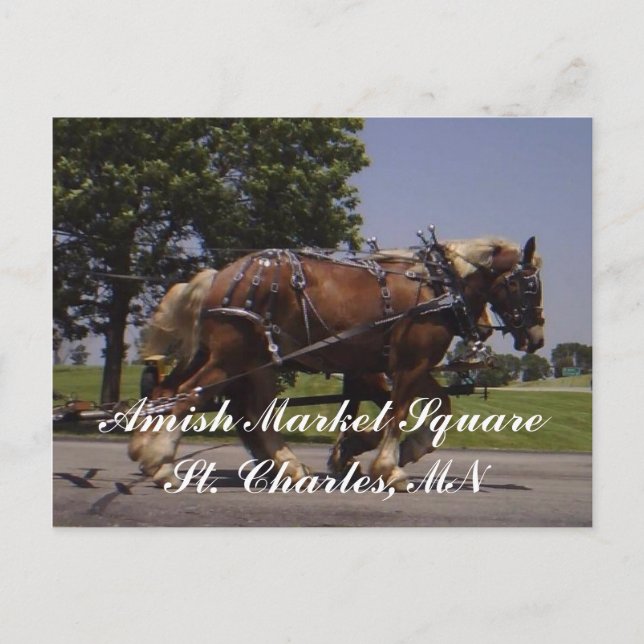 Scenery Vykort (Framsida)