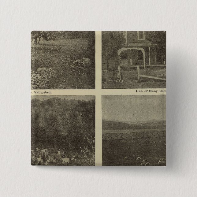 Scenes Inland Empire Knapp (Framsida)