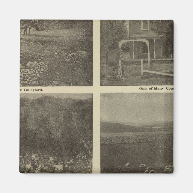 Scenes Inland Empire Magnet (Framsidan)