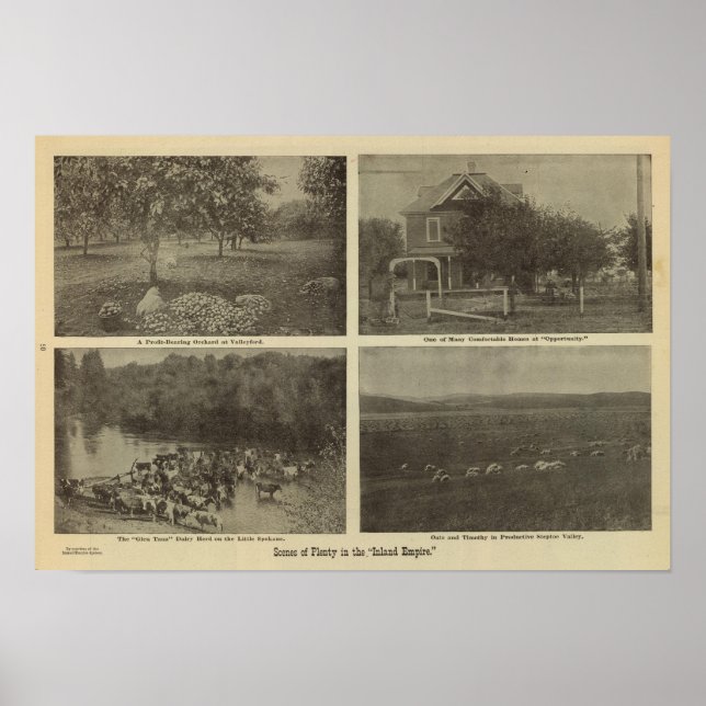 Scenes Inland Empire Poster (Framsidan)