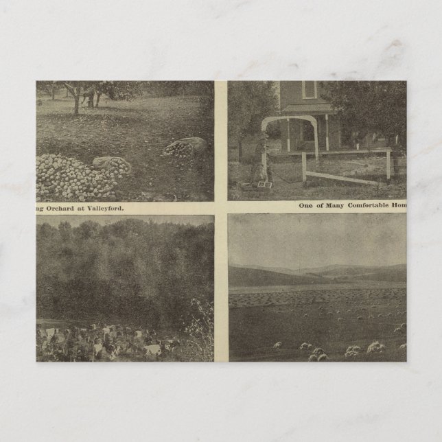 Scenes Inland Empire Vykort (Framsida)